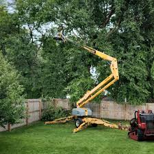 Pest Control for Lawns in Weweantic, MA